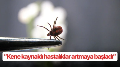 ’’Kene kaynaklı hastalıklar artmaya başladı’’