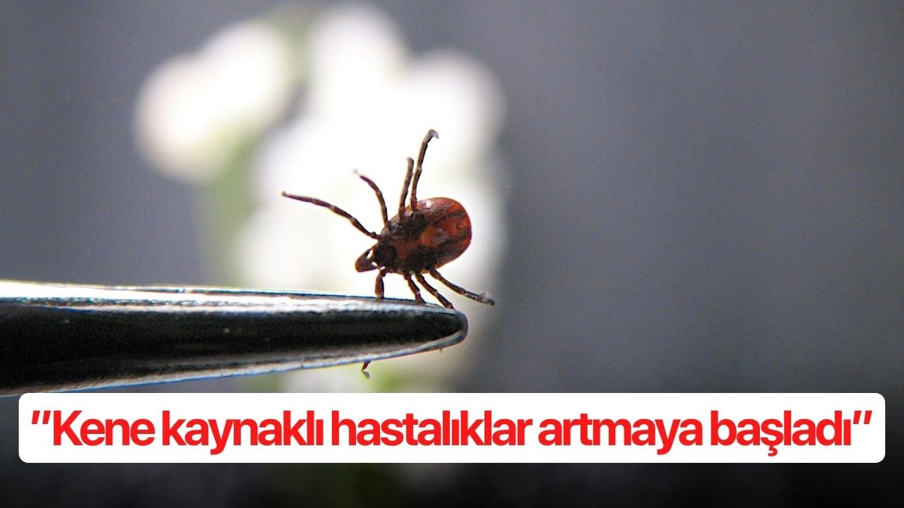 ’’Kene kaynaklı hastalıklar artmaya başladı’’