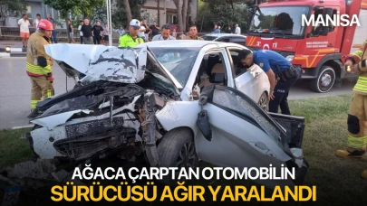 Otomobil ağaca çarptı, sürücüsü ağır yaralandı
