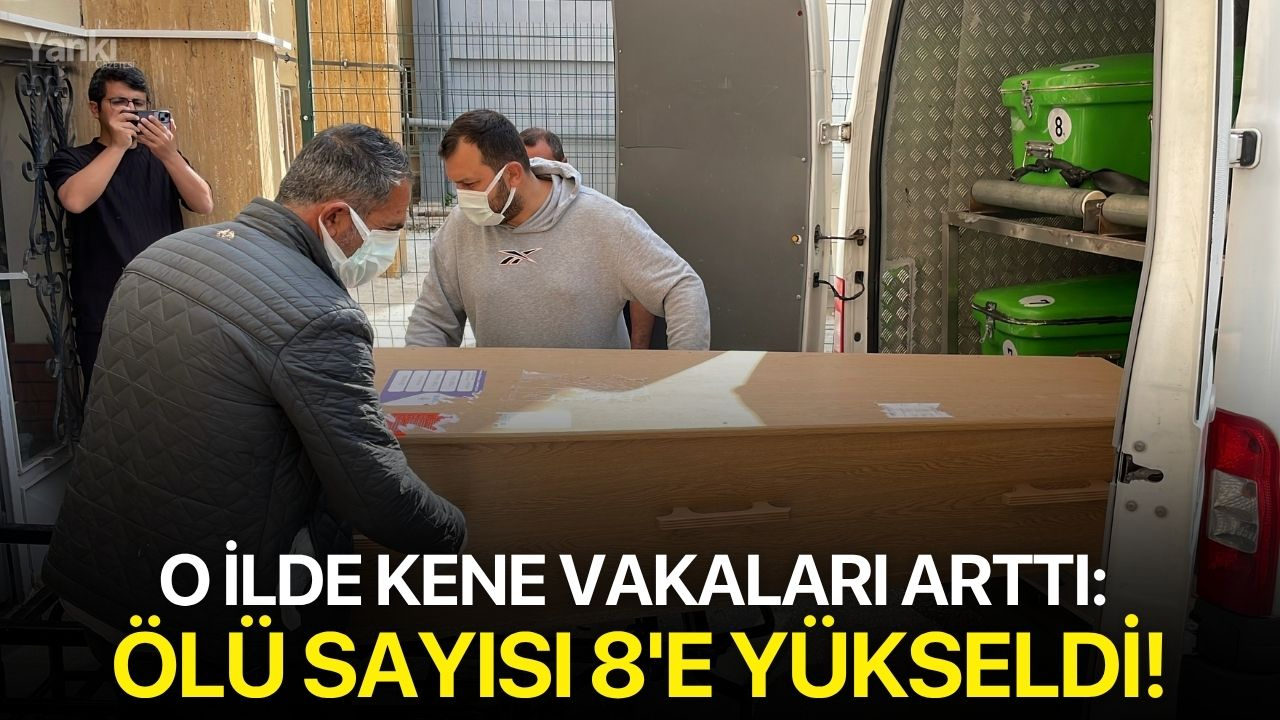 O ilde kene vakaları arttı: Ölü sayısı 8'e yükseldi!