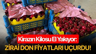 Kirazın Kilosu El Yakıyor: Zirai Don Fiyatları Uçurdu!
