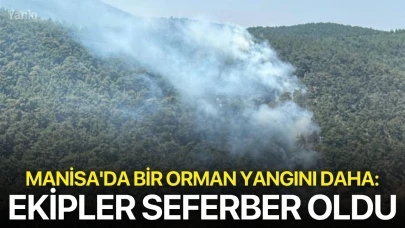 Manisa'da bir orman yangını daha: Ekipler seferber oldu