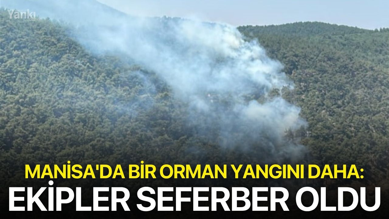 Manisa'da bir orman yangını daha: Ekipler seferber oldu