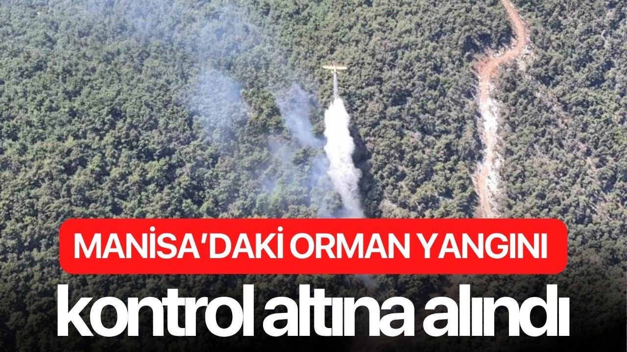 Manisa’daki orman yangını kontrol altına altında