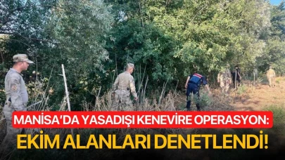 Manisa’da yasadışı kenevire operasyon: Ekim alanları denetlendi!