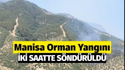 Manisa'daki orman yangını 2 saatte söndürüldü