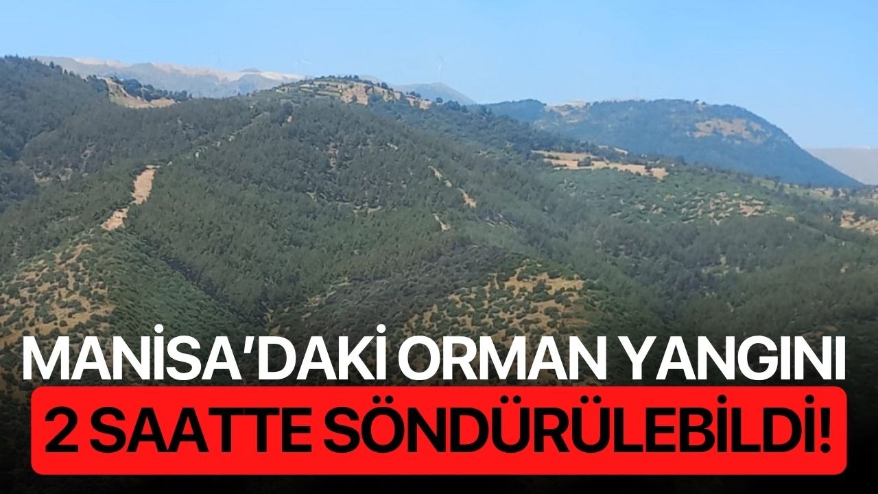 Manisa’daki orman yangını 2 saatte söndürülebildi!