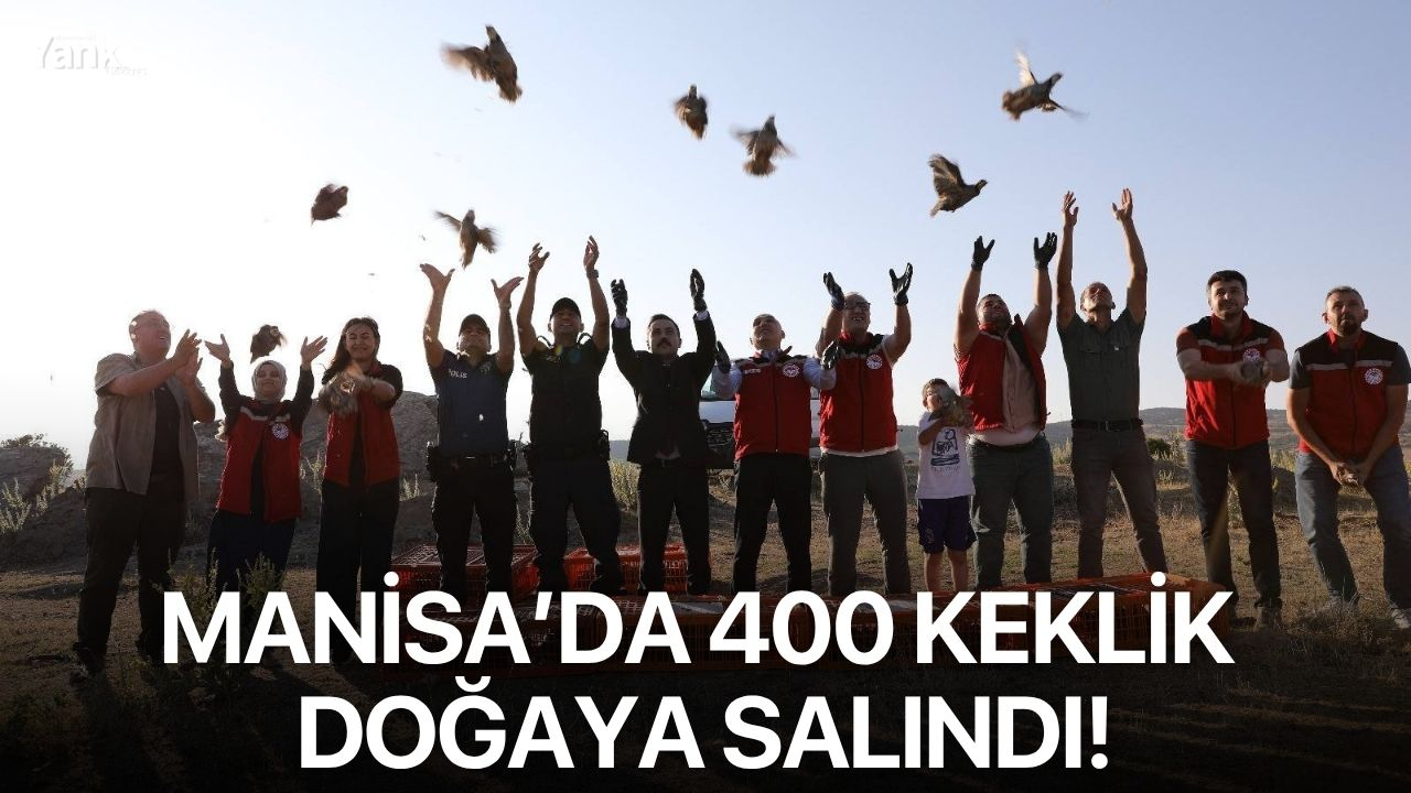 Manisa’da 400 keklik doğaya salındı!