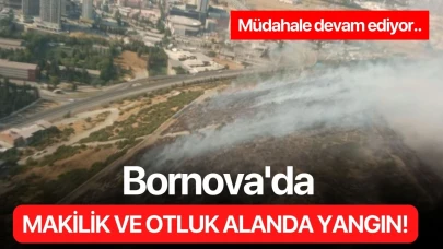 Bornova'da makilik ve otluk alanda yangın!