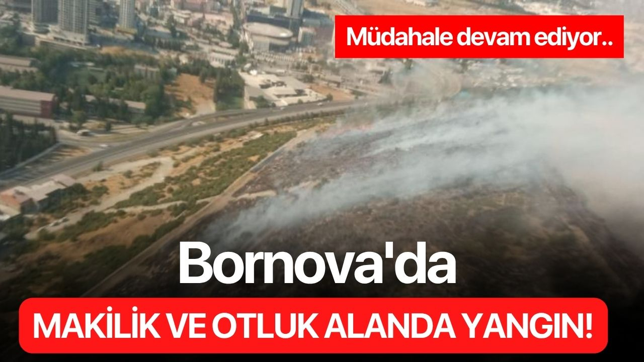 Bornova'da makilik ve otluk alanda yangın!