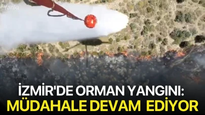 İzmir'de orman yangını: Müdahale devam ediyor