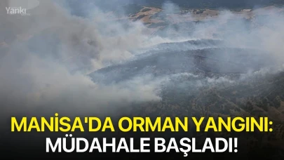 Manisa'da orman yangını: Müdahale başladı!
