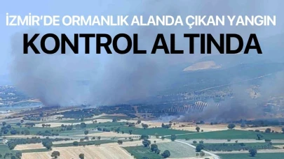 İzmir’de ormanlık alanda çıkan yangın kontrol altında