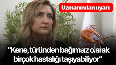Uzmanından uyarı: "Kene, türünden bağımsız olarak birçok hastalığı taşıyabiliyor"