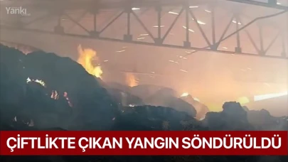 Çiftlikte çıkan yangın söndürüldü