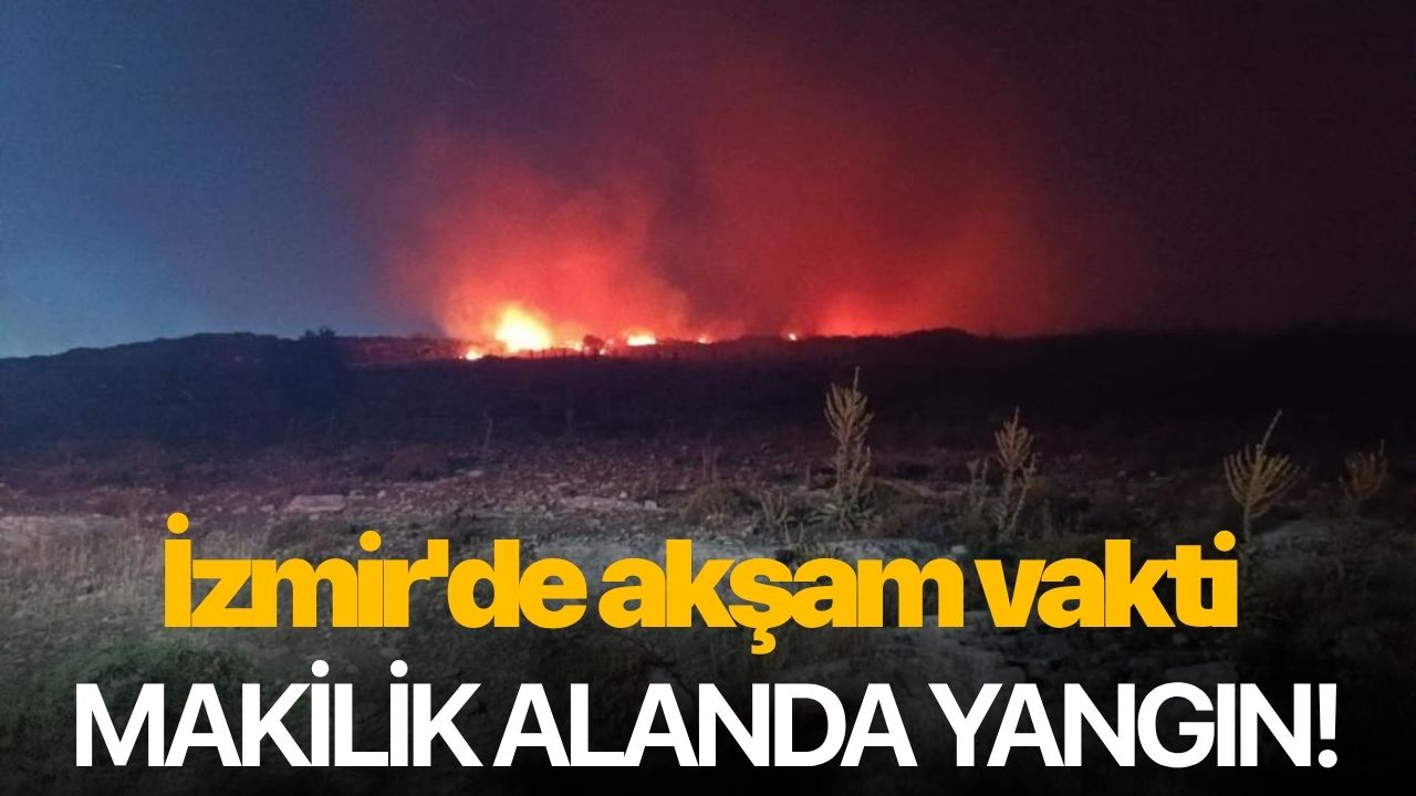 İzmir'de akşam vakti makilik alanda yangın!