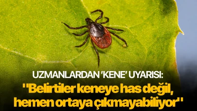 Uzmanlardan ’kene’ uyarısı: "Belirtiler keneye has değil, hemen ortaya çıkmayabiliyor"