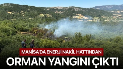Manisa'da enerji nakil hattından orman yangını çıktı