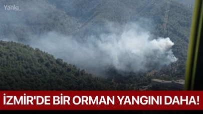İzmir'de bir orman yangını daha!