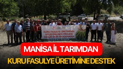 Manisa İl Tarımdan kuru fasulye üretimine destek