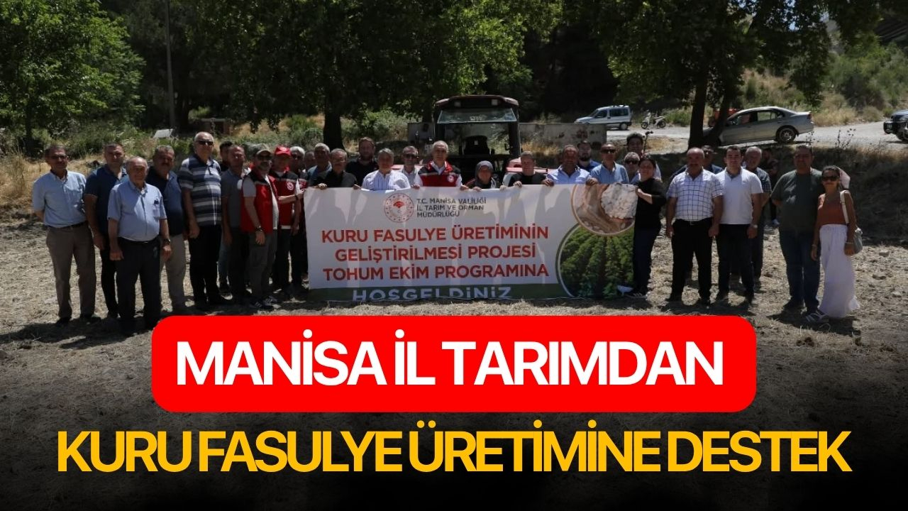Manisa İl Tarımdan kuru fasulye üretimine destek