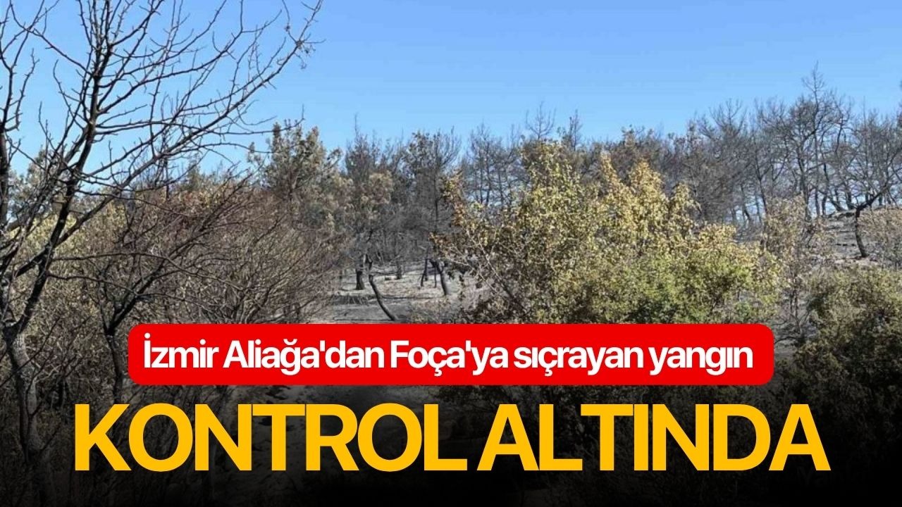 İzmir Aliağa'dan Foça'ya sıçrayan yangın kontrol altında