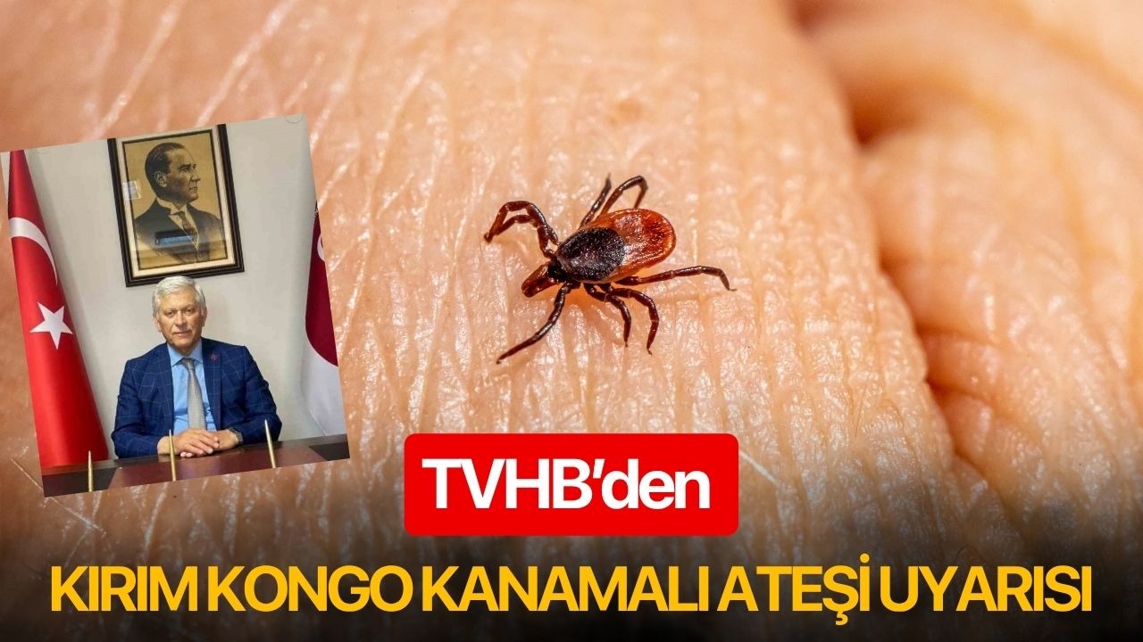 TVHB’den Kırım Kongo Kanamalı Ateşi uyarısı
