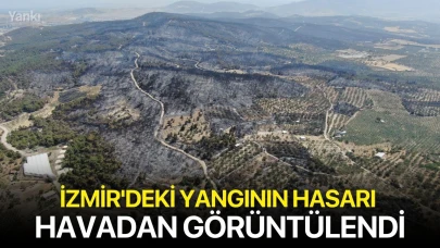 İzmir'deki yangının hasarı havadan görüntülendi