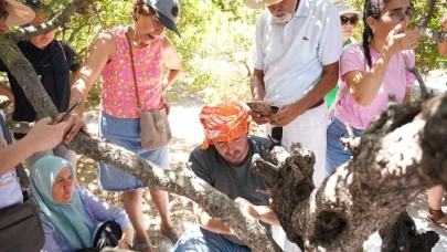 Çeşme’de Sakız Hasadı Eğitimi gerçekleştirildi