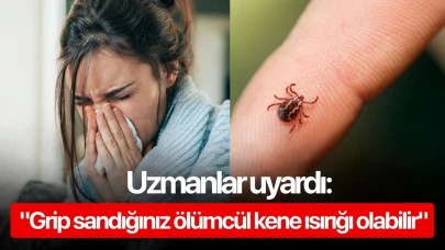 Uzmanlar uyardı: "Grip sandığınız ölümcül kene ısırığı olabilir"