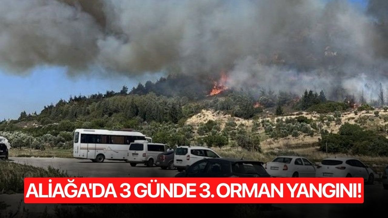 Aliağa'da 3 günde 3. Orman yangını!