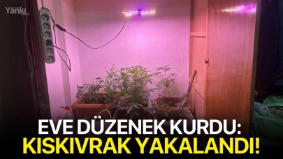 Eve düzenek kurdu: Kıskıvrak yakalandı!