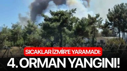 Sıcaklar İzmir'e yaramadı: 4. Orman yangını!