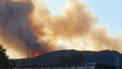 Aliağa’daki orman yangıyla ilgili 1 kişi tutuklandı