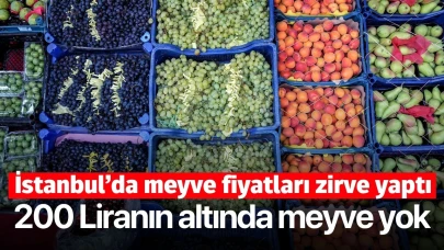 İstanbul'da meyve fiyatları zirveyi gördü! 200 Liranın altında meyve yok