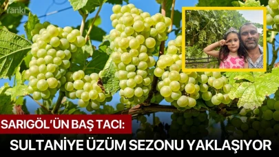 Sarıgöl’ün baş tacı: Sultaniye üzüm sezonu yaklaşıyor