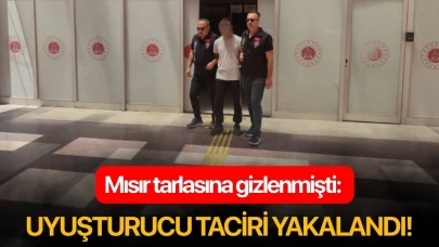 Mısır tarlasına gizlenmişti: Uyuşturucu taciri yakalandı!