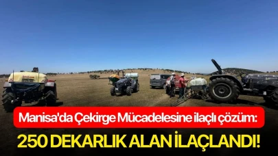 Manisa'da Çekirge Mücadelesine ilaçlı çözüm: 250 dekarlık alan ilaçlandı!