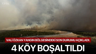 Vali Özkan yangın bölgesindeki son durumu açıkladı: 4 köy boşaltıldı!