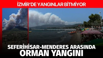 İzmir'de orman yangınları bitmiyor