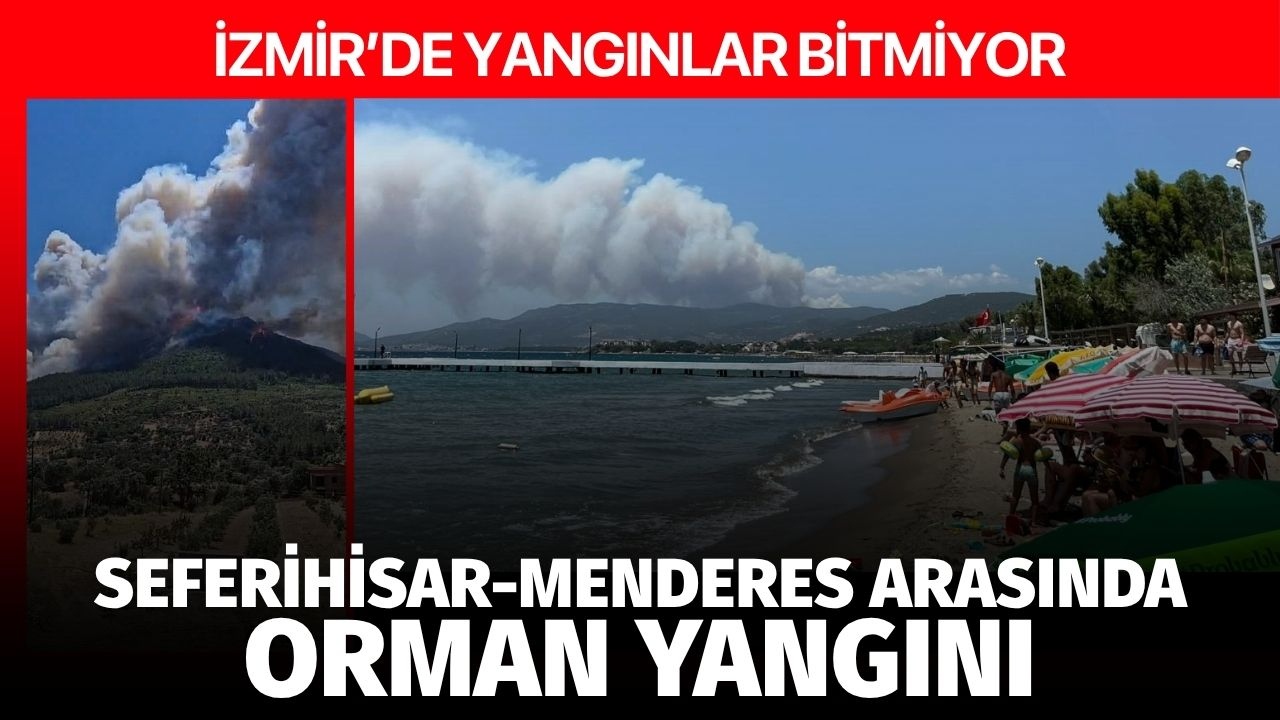 İzmir'de orman yangınları bitmiyor