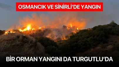 Bir orman yangını da Turgutlu’da
