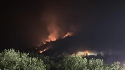 Seferihisar'da yangın evlere ulaştı