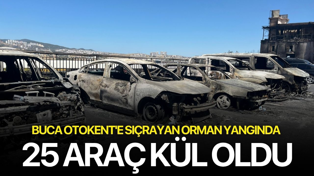 Buca Otokent'e sıçrayan orman yangında 25 araç kül oldu