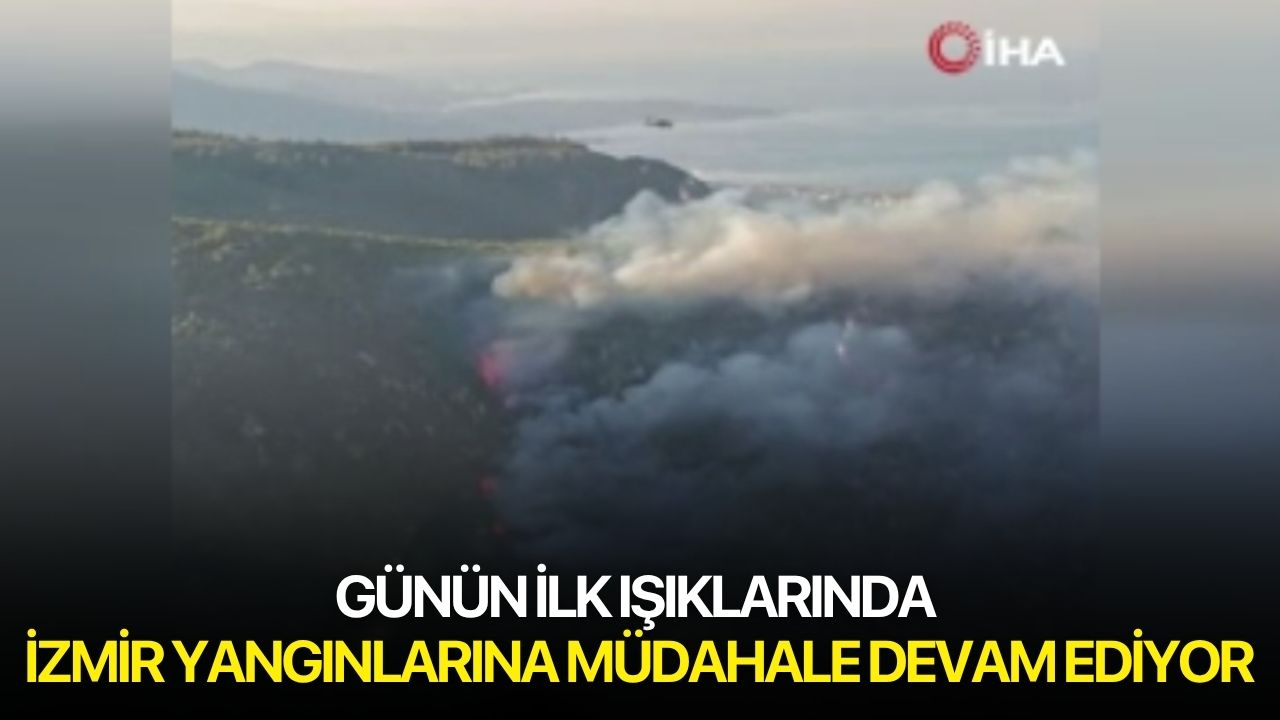 Günün ilk ışıklarında İzmir yangınlarına müdahale devam ediyor