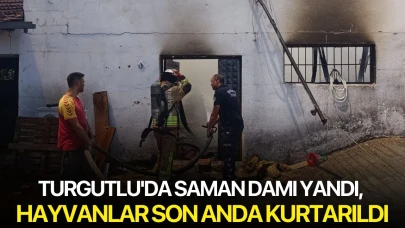 Turgutlu'da çiftlik yangını... Hayvanlar son anda kurtarıldı