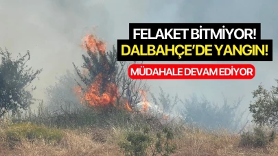 Turgutlu’da ormanlık alanda yangın!