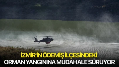 İzmir'in Ödemiş ilçesindeki orman yangınına müdahale sürüyor