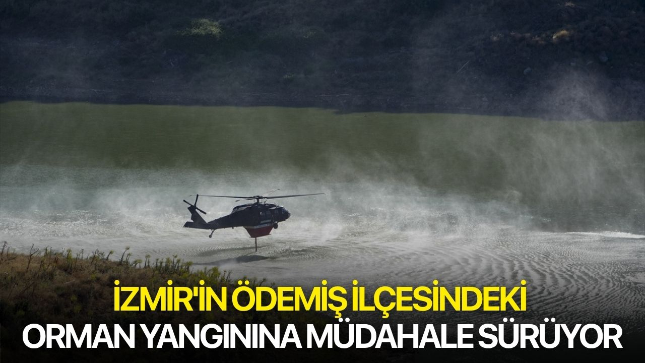 İzmir'in Ödemiş ilçesindeki orman yangınına müdahale sürüyor