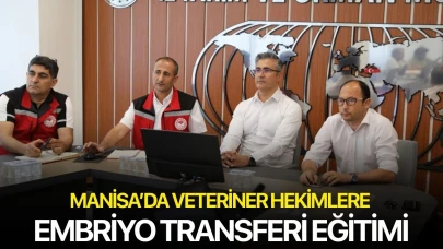 Manisa’da veteriner hekimlere embriyo transferi eğitimi